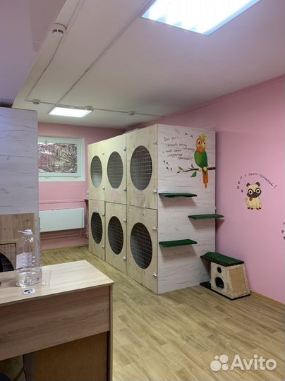 Отель для животных