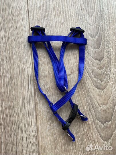 Поводок и шлейка