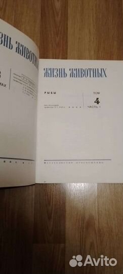 Жизнь животных