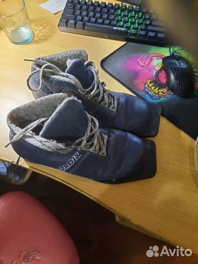 Лыжные ботинки