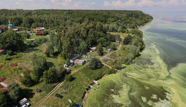 Участок 8 сот. (ИЖС)