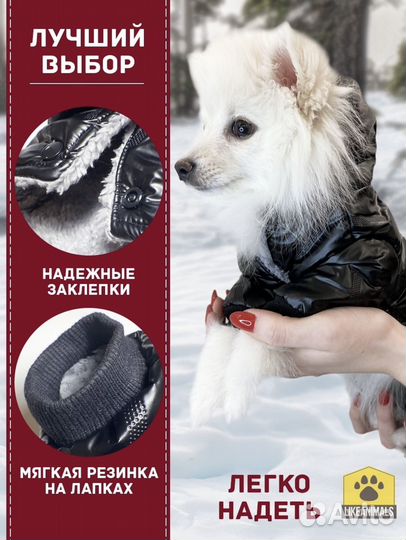 Комбинезон для собаки, размер XL