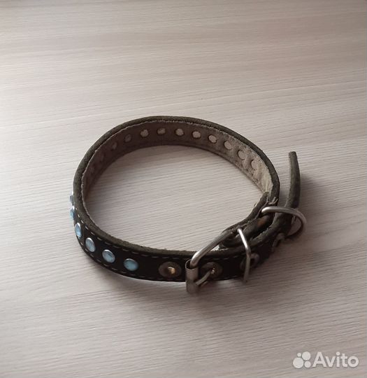 Ошейник для маленькой собаки