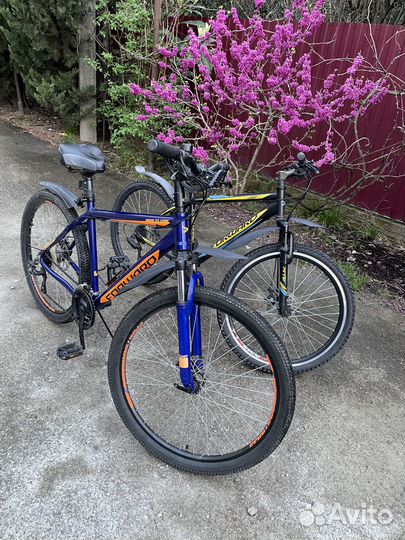 Велосипеды-Аренда