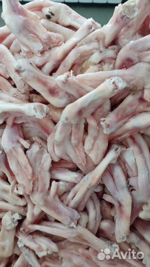 Мясо и кости для собак