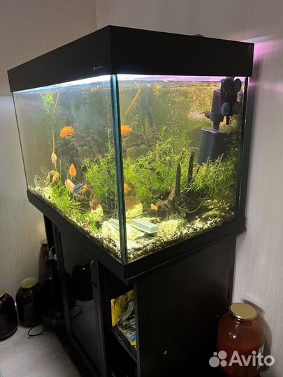 Аквариум с тумбой бу