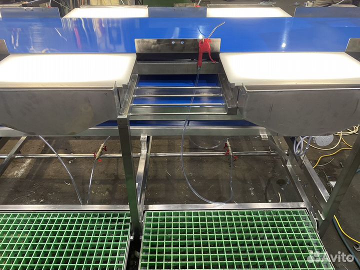 Линия для переработки и потрошения рыбы