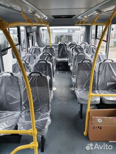 Городской автобус ПАЗ Вектор Next 7.1, 2023