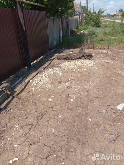 Ржд Гербицид