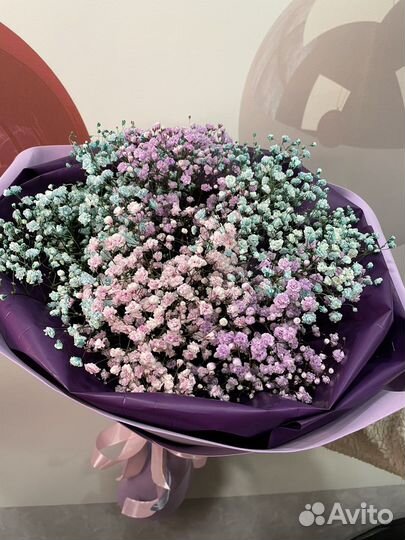 Букет Цветы Гипсофила Живые цветы