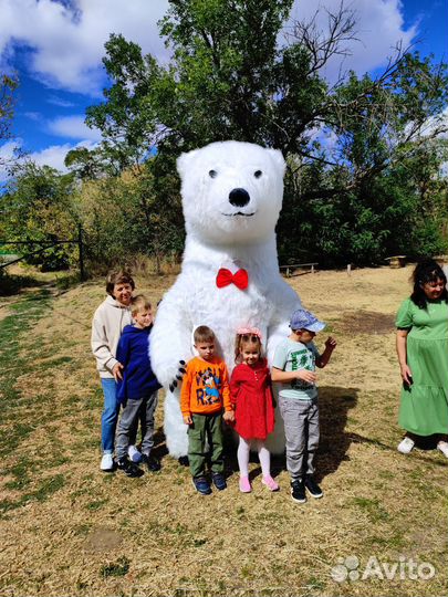 Белый медведь аниматор, панда, ушастик и другие