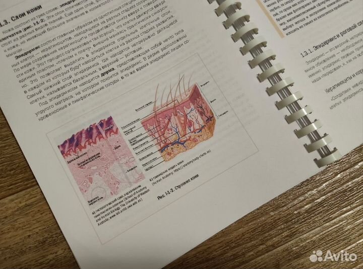Новая косметология Е. И. Эрнандес