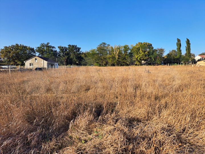 Участок 9,8 сот. (СНТ, ДНП)