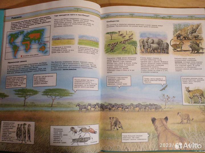 Книги детские энциклопедии