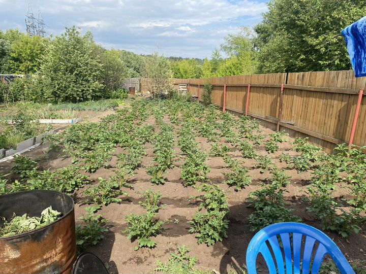 Участок 6,4 сот. (СНТ, ДНП)