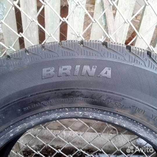 Viatti Brina 195/65 R15 51