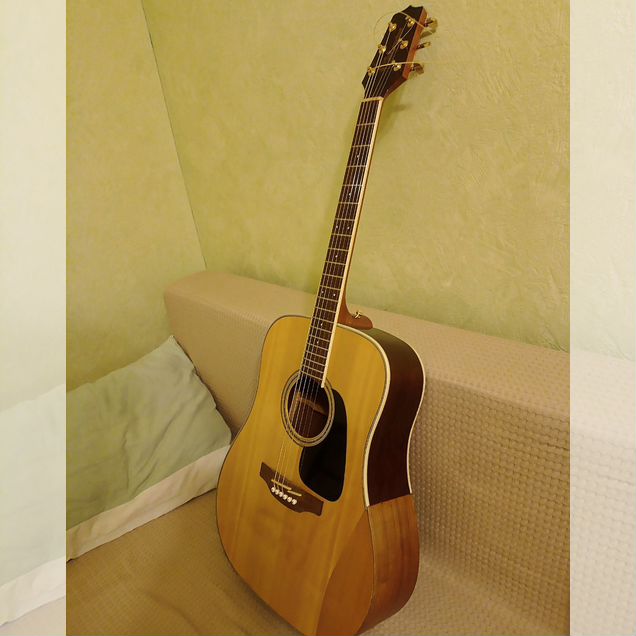 Гитара акустическая Takamine