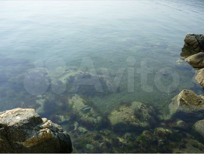 2-к. квартира, 49,5 м², 2/5 эт.