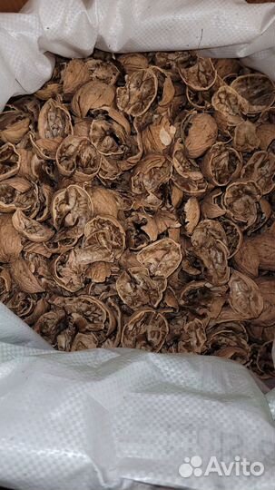 Скорлупа грецкого ореха