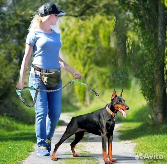 Поводок Свободные Руки для бега с собакой