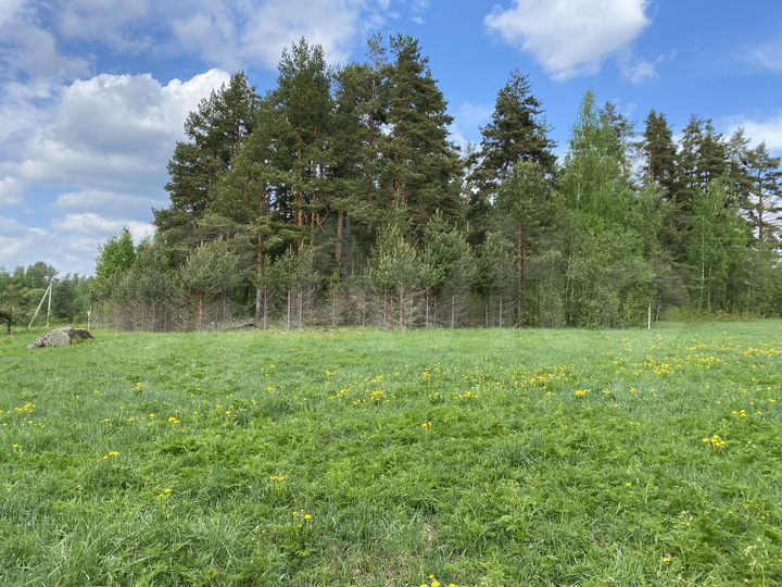 Участок 18 сот. (ИЖС)