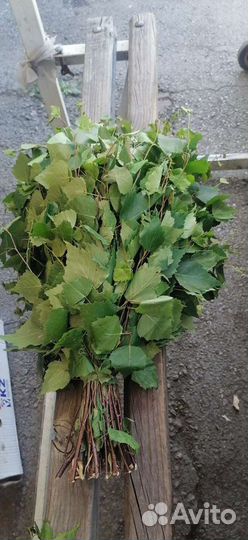 Веники Берёзовые Банные