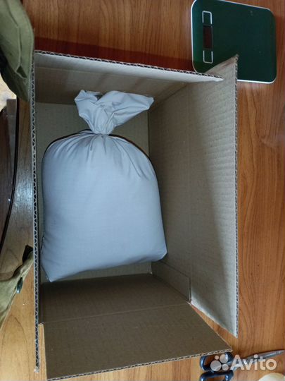 Чага березовая от сборщика