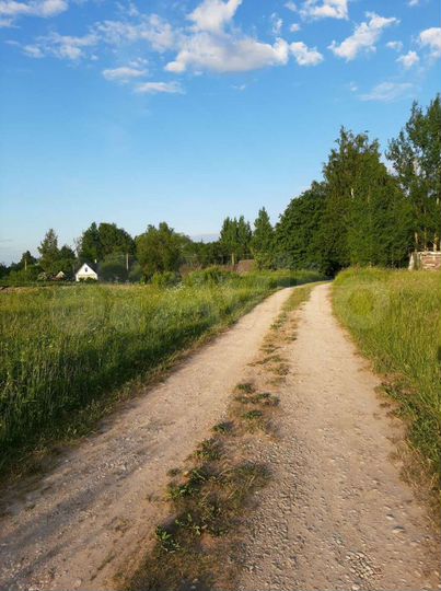 Участок 46,6 сот. (ИЖС)