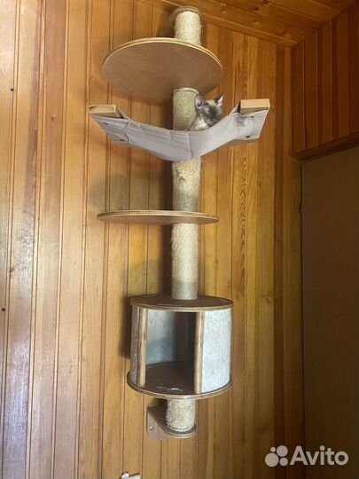 Комплекс настенный для кошек