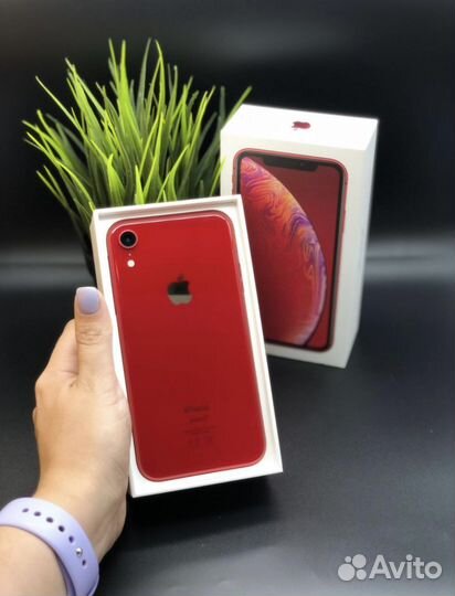 iPhone Xr, 64 ГБ
