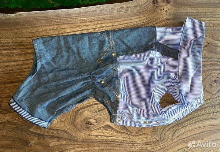 Одежда для собак