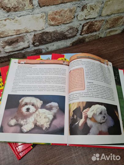 Детская энциклопедия