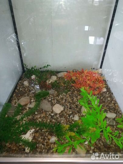 Аквариум