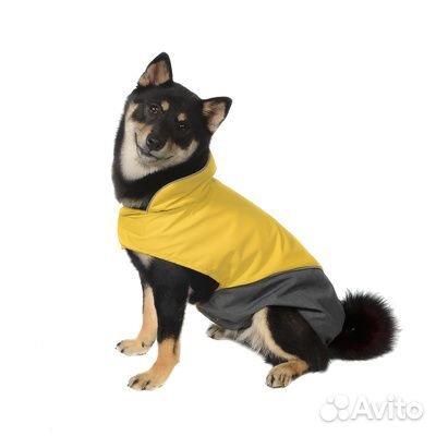Tappi одежда Попона Блант для собак желтая размер