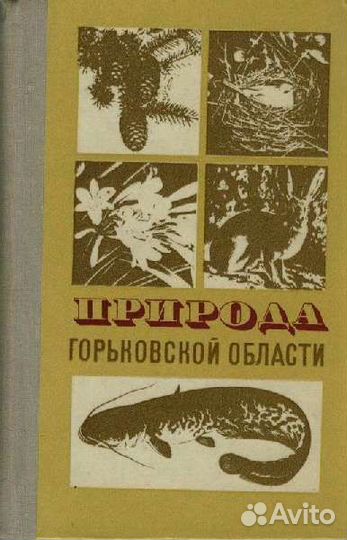 Книга природа горьковской обл 1974 г