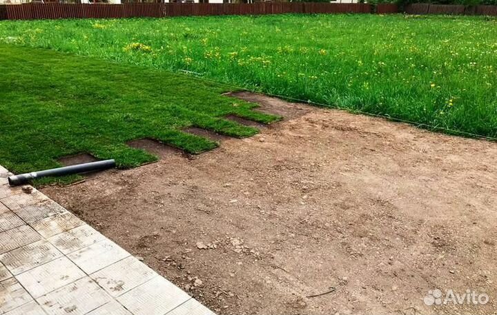 Рулонный газон с бесплатным замером