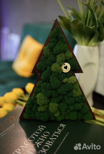 Новогодние елки,стабилизированный мох,подарок