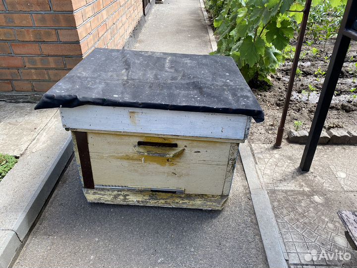 Улей для пчел