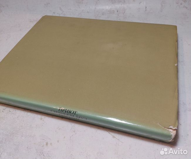 Приют, сияньем муз одетый / Фотолитературная