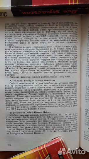 Кактусы. Справочник. Т. И. Борисенко
