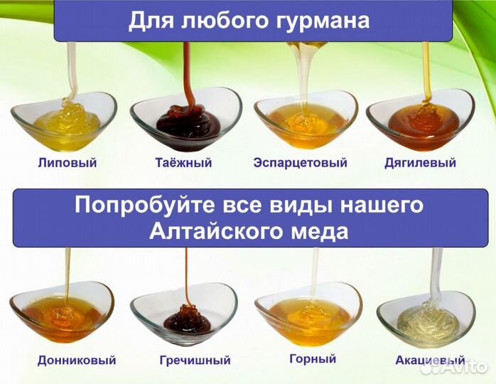 Алтайский мёд 2023 г (опт.)