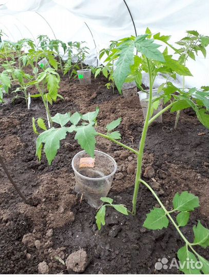 Перегной в мешках по 25 кг пг Г-54.9