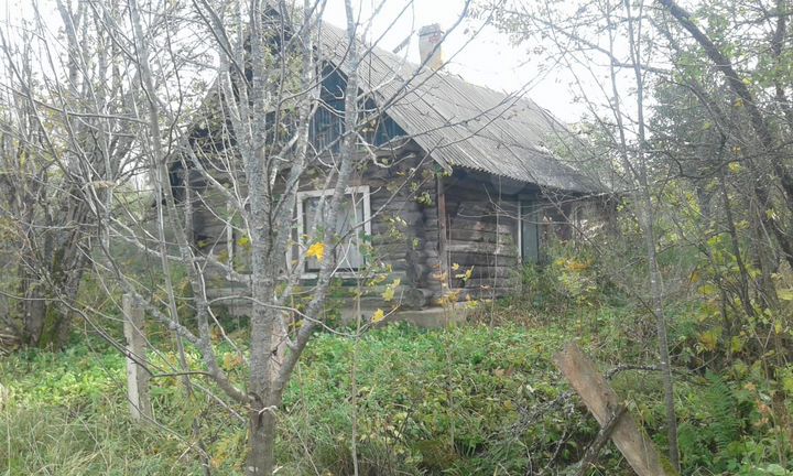 Дом 59 м² на участке 20 сот.