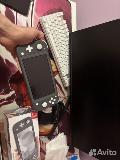 Nintendo switch lite