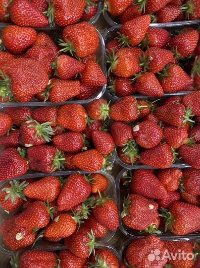 Клубника Крым сладкая