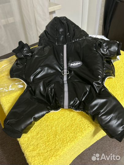 Комбинезон для маленькой собаки