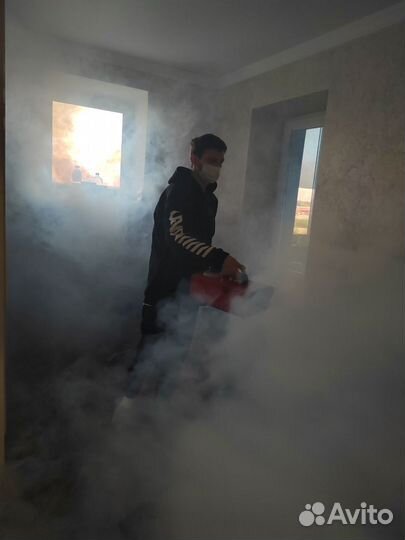 Уничтожение насекомых/Устранение запахов