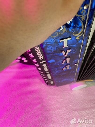 Баян Тула бн 41 Компактный Лёгкий 1днв Аналог