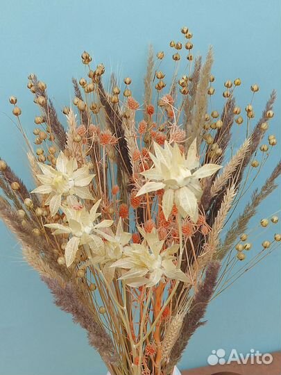 Сухоцветы Букет 