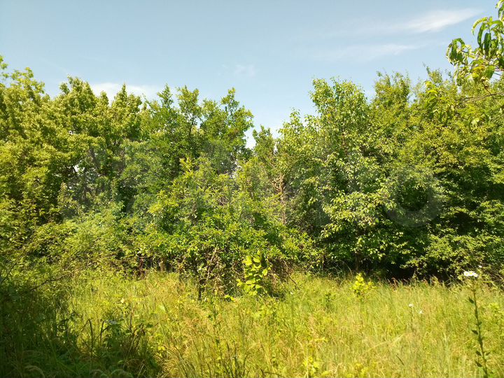 Участок 42,2 сот. (ИЖС)